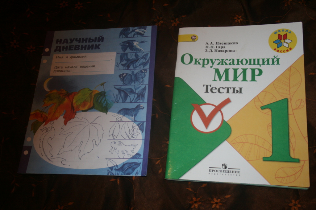 Научный дневник 1 класс. Окружающий мир 1 научный дневник. Научный дневник 1 класс по окружающему. Научный дневник 1 класс окружающий мир ответы.