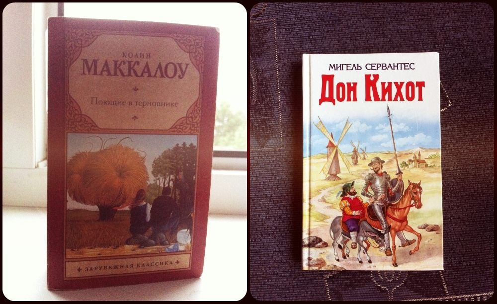 Дон кихот книга краткое. Сервантес Дон Кихот.