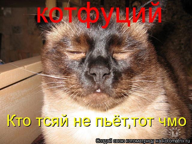 Кто не пьет тот хуеплет. Кто не пьет. Я не пью и вам не советую. Кто не пьет тот песня. Кто не пьет тот песня.