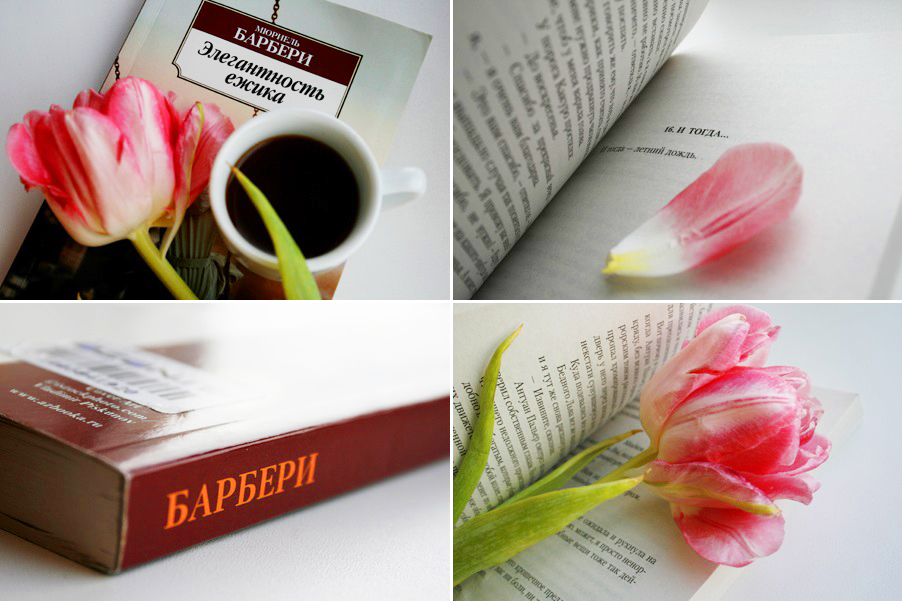 Семь смертей эвелины хардкасл аудиокнига. Элегантность ёжика мюриель барбери книга. Книга счастливая (элис сиболд). Барбери м. Элегантность ёжика мюриель барбери книга.