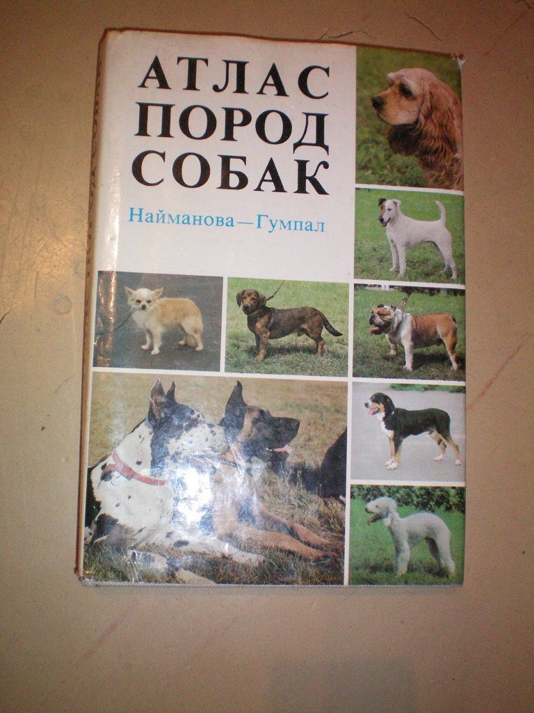 Атлас пород собак. Атлас пород собак Найманова. Атлас пород собак Найманова Гумпал. Атлас пород собак - Найманова д., Гумпал з.. Найманова Диана » атлас пород собак.