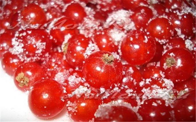 Морозить черную смородину с сахаром. Нужно мыть смородину перед заморозкой. Белая смородина замороженная. Смородина с сахаром в морозилку на зиму пропорции. Заморозка смородины на зиму.