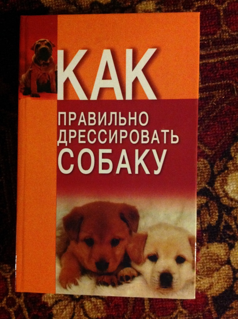 Как правильно дрессировать собаку. Команды для собак. Как правильно дрессировать. Как научить собаку командам щенка. Как научить собаку команде дай лапу.