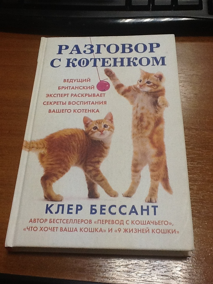 Как правильно воспитывать котенка. Книги по воспитанию кошек. Книги о воспитании кошек. Воспитание котенка. Советы по воспитанию кошек.