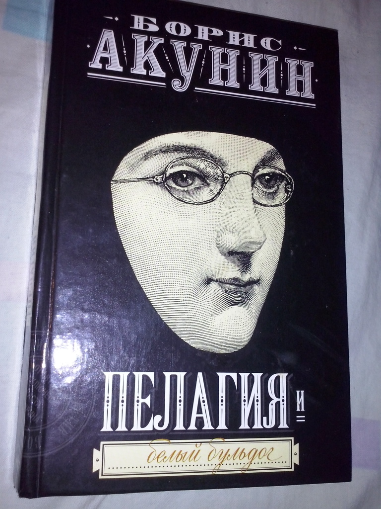 Книги акунина декоратор