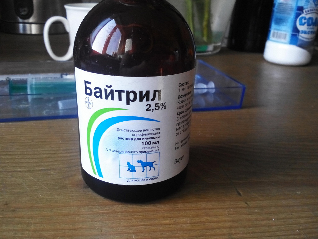 Байтрим. Байтрил 5%. Байтрил 2,5 %. Байтрил 2.8. 5% Байтрил 100 мл.