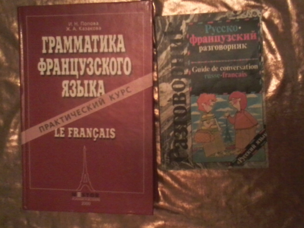 Грамматика французский язык pdf. Учебник грамматики французского языка. Практическая грамматика французского языка Бабаян.