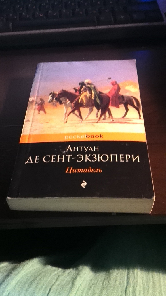 Книга цитадель отзывы