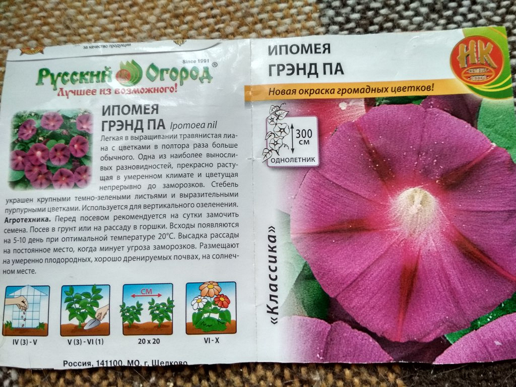 Ипомея семена в дар (Москва). Дарудар