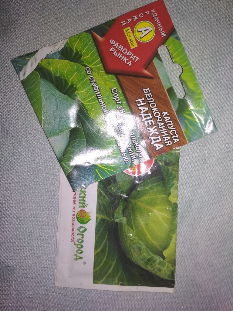 Семена в дар (Москва). Дарудар