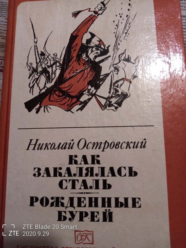 Краткое содержание как закалялась. Островский как закалялась сталь. Александр Островский как закалялась сталь. Рождённые бурей Николай Островский. Как закалялась сталь книга.