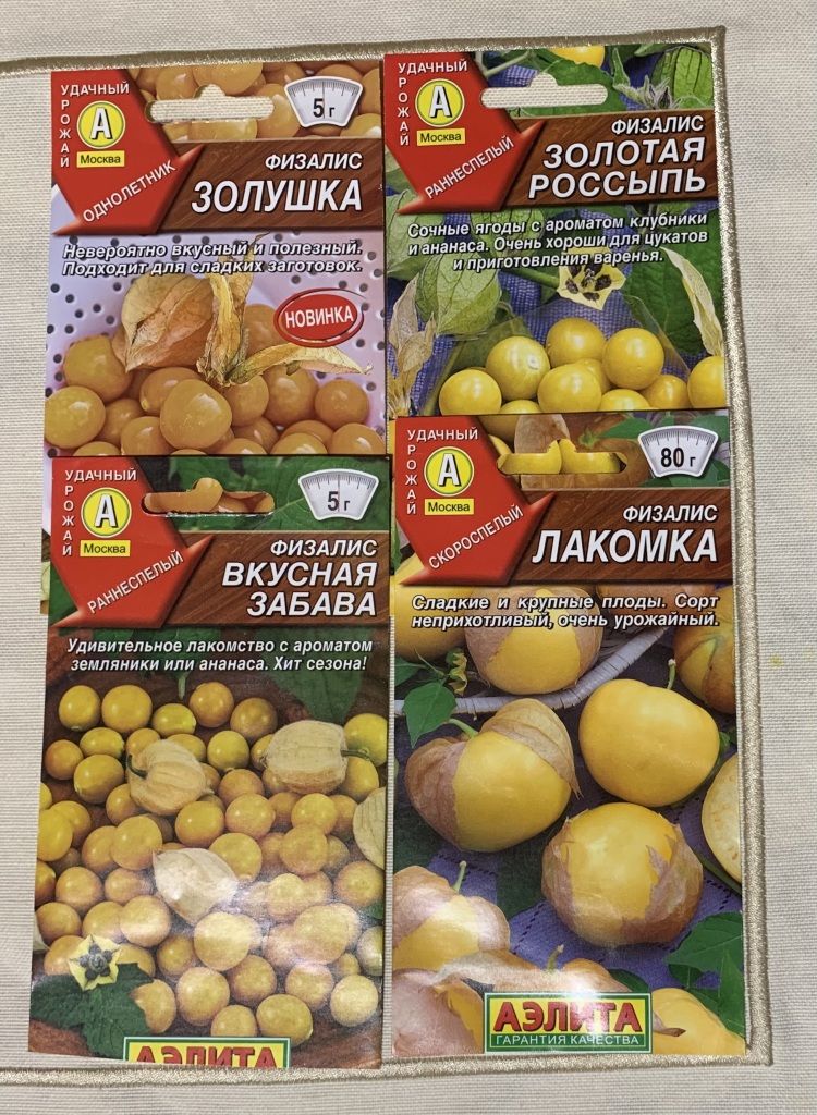 Рассада физалиса в дар (Москва). Дарудар