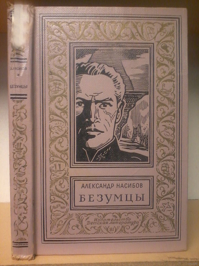 Безумцы книга. Книга Безумцы Насибов.