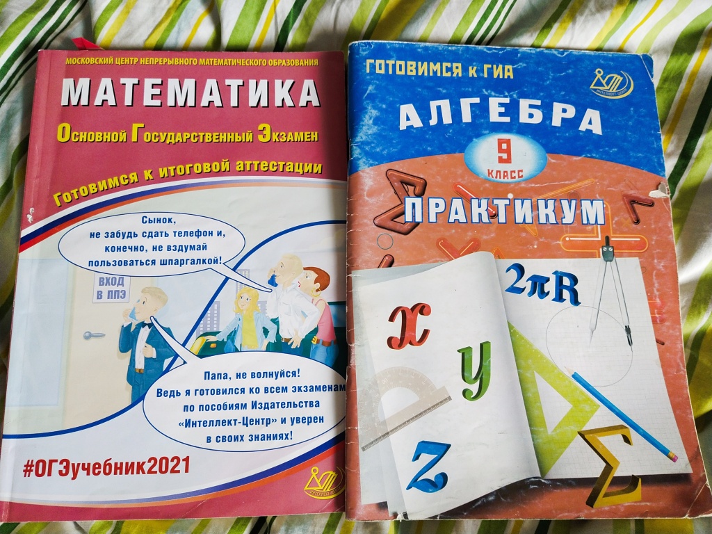 Задачник по математике 6 класс. Справочник по математике ГИА. Задачник по математике 3000. Задачник по математике Александрова.