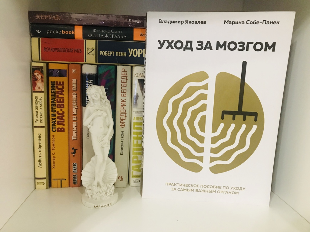 Уход за книжками. Книга мозг. Уход за мозгом книга.