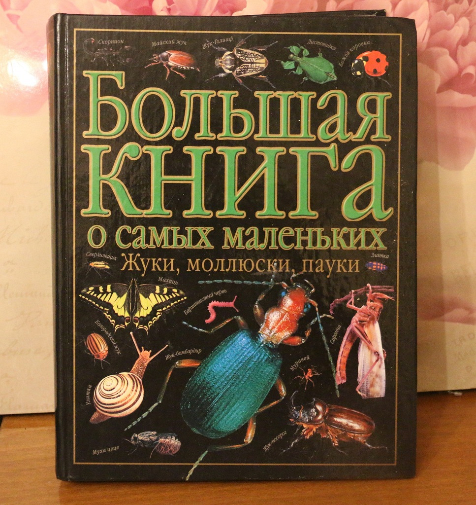 Паук книга. Энциклопедия пауков. Большая книга для самых маленьких. Книга про пауков. Книга про пауков энциклопедия.