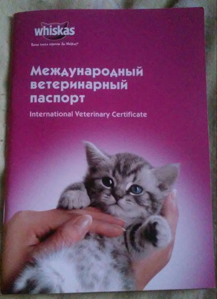 Фото На Ветеринарный Паспорт