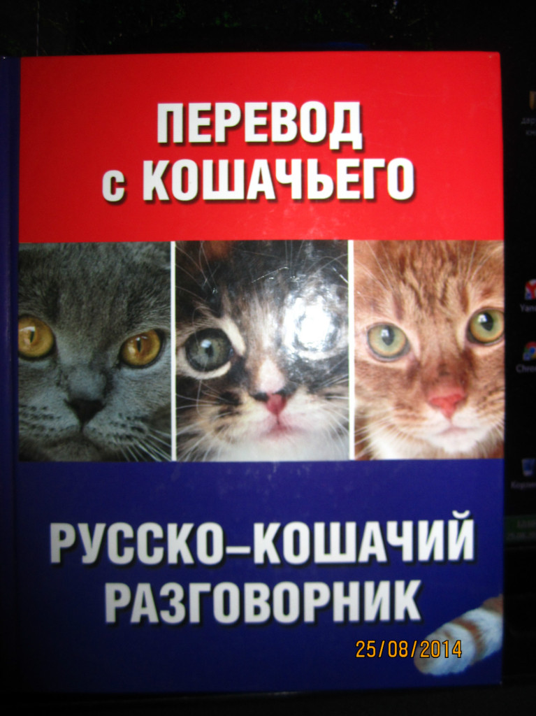 Кот перевод. Перевод с кошачьего. Русско кошачий разговорник. Русско кошачий словарь. Перевод на кошачий язык.