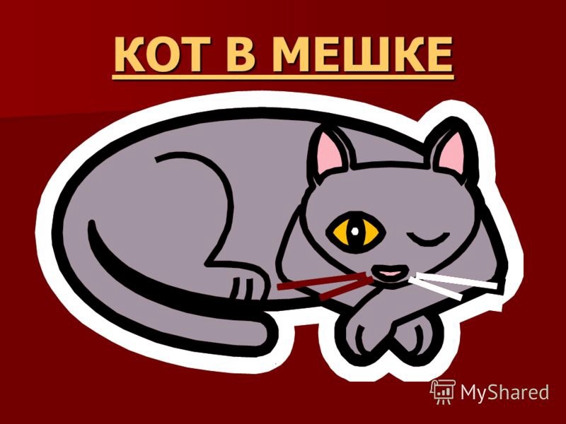 Кот в мешке передача. Кот в мешке. игра кот в мешке. кот в мешке картинка. кот в мешке своя игра.