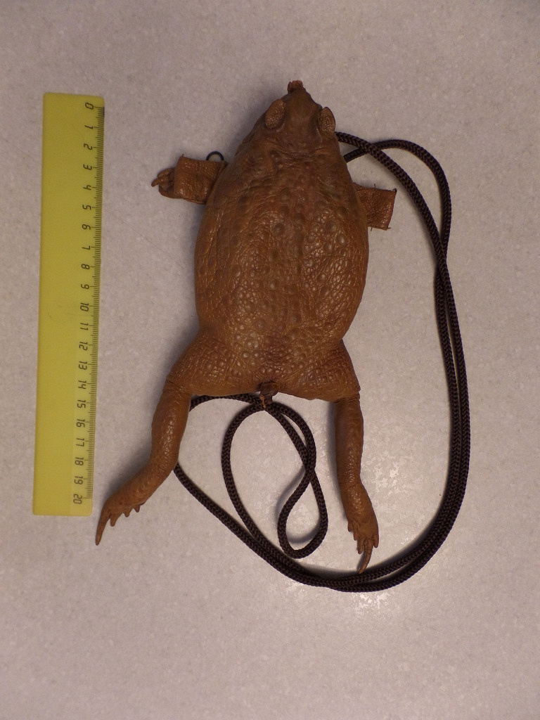 сумка мягкая лягушка. сумка лягушка кожа. сумка прикольная смешная. сумочка лягушка. сумка жаба.