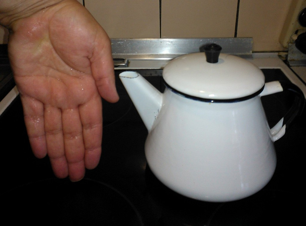 полтора литра чайник. 4). полтора литра чайник. чайник maritime эмаль 3л. чайник для плиты.