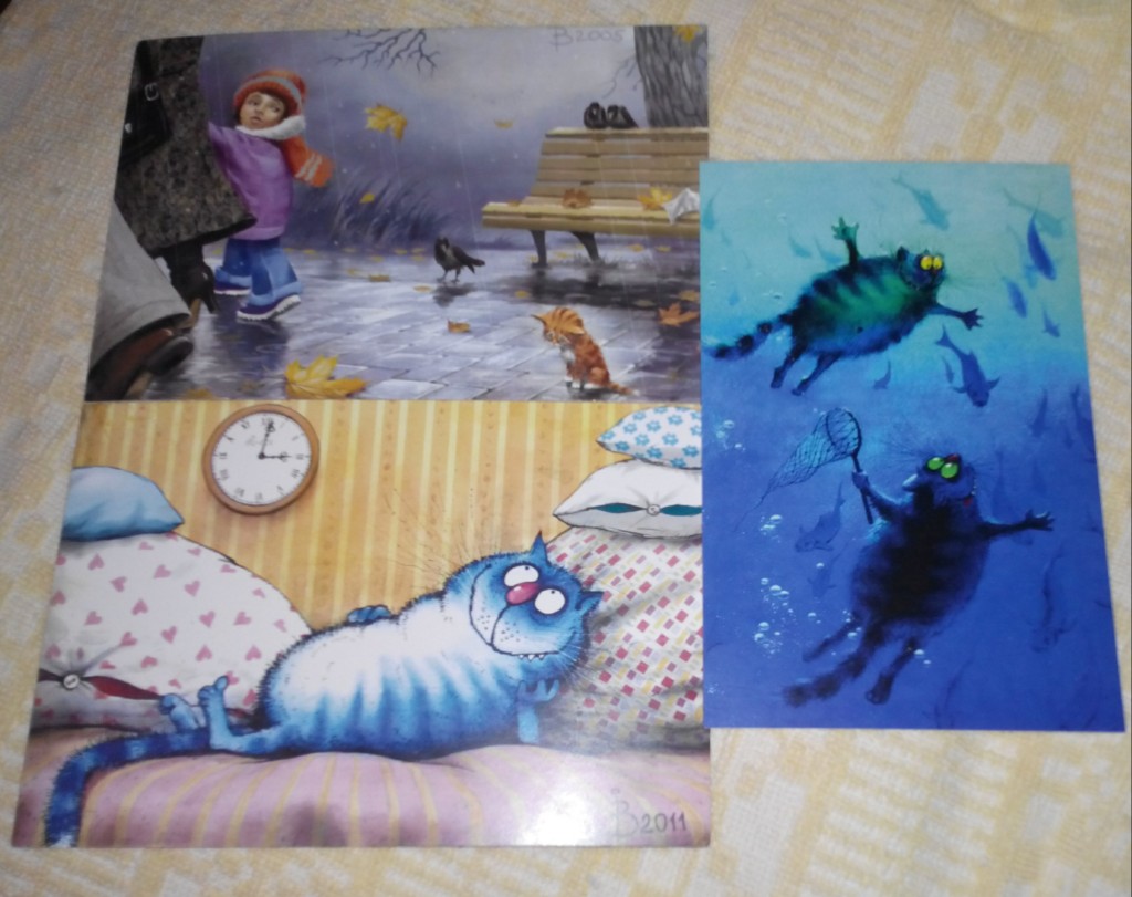 синие коты ирины зенюк в питере. коты ирины зенюк 2020. синий кот спб. петербургские коты ирины зенюк. петербургские коты ирины зенюк.