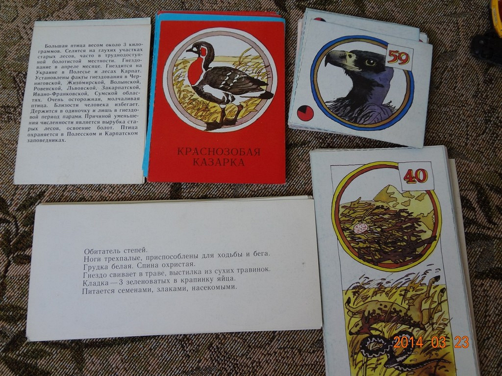 советская игра в дар (Донецк). Дарудар