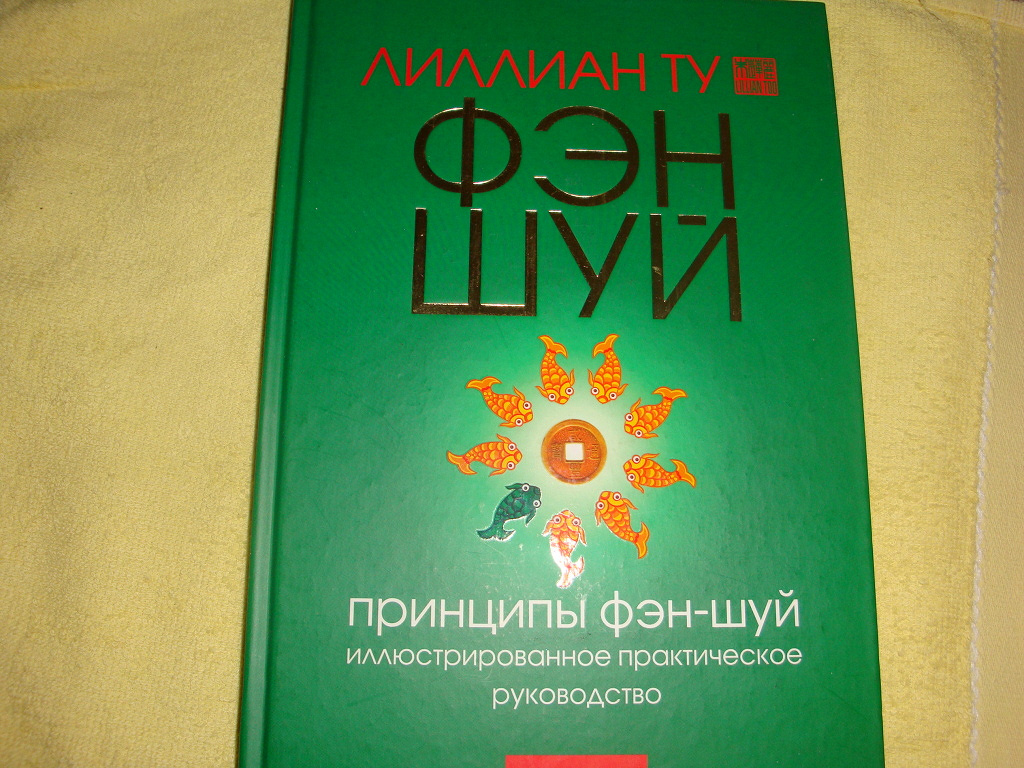 Загляни в свое будущее книга фэн шуй. Фэн шуй принципы. Лилиан ту фэн шуй книги. Фен шуй книга Загляни в будущее.