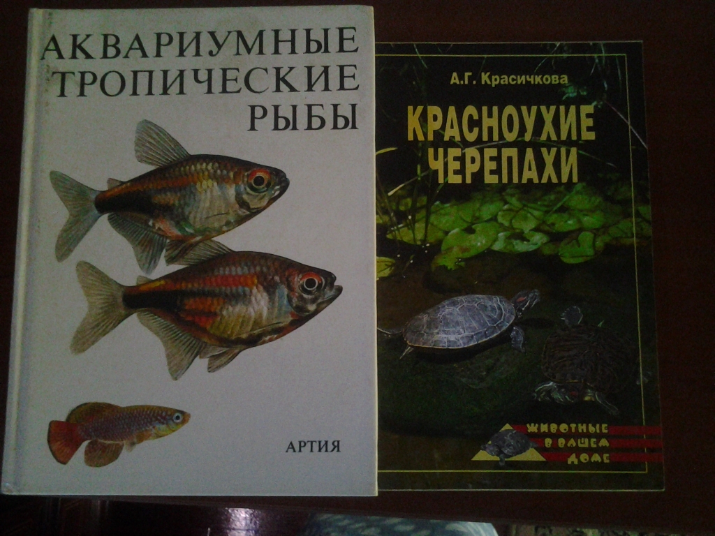 Аквариумная книга