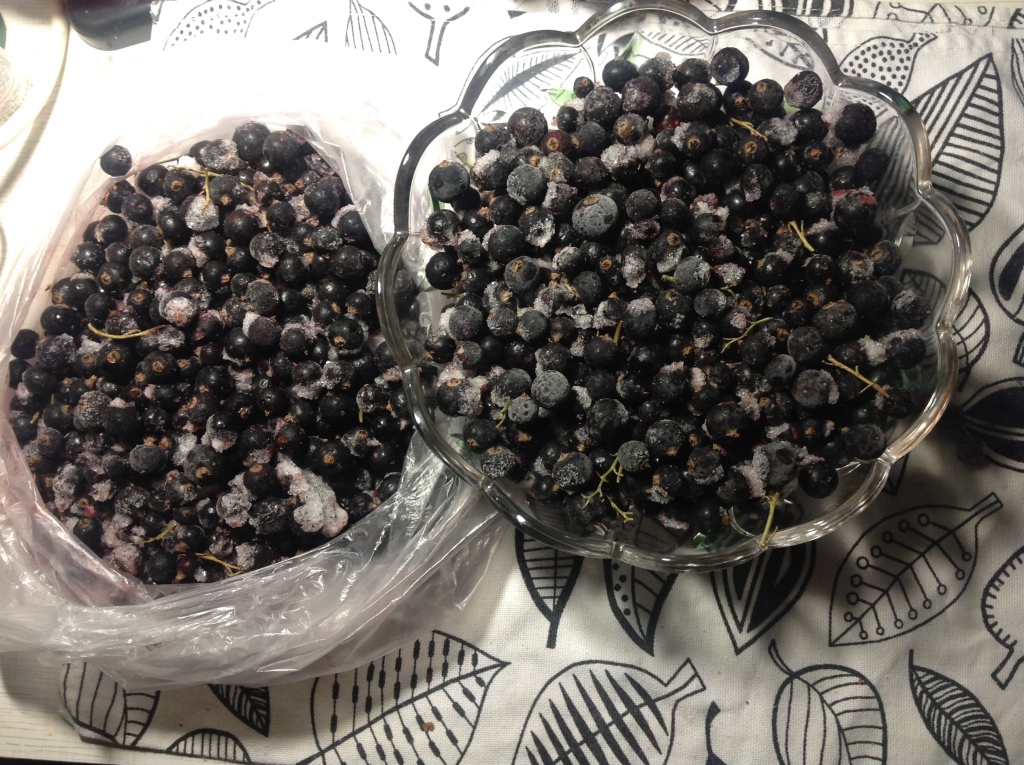 смородина черная, замороженная. черная смородина быстрозамороженная. ягоды свежемороженые смородина черная. смородина черная, замороженная. черная смородина в воде.