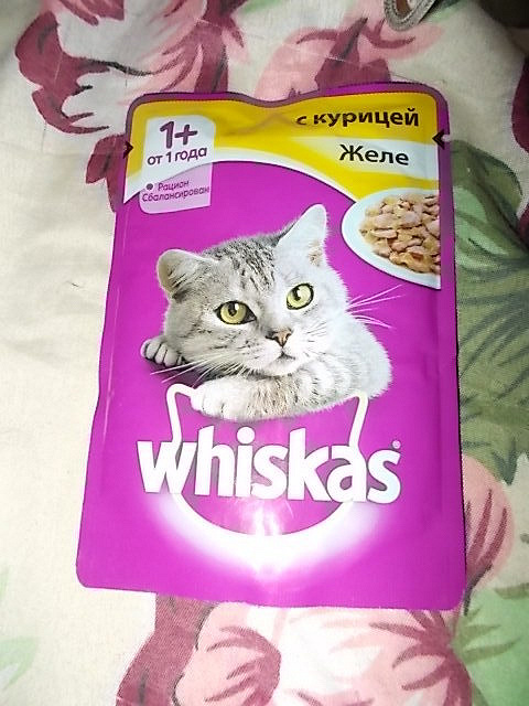Jarvi корм для кошек купить. Немецкий кошачий корм. Корм для кошек в розовой упаковке. Kissa корм для кошек. Кошачий корм гениус.