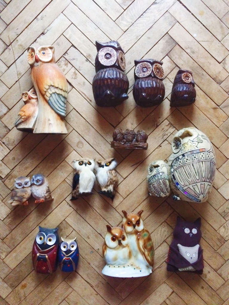 Кафе с совами в москве совиный дом. Коллекционер сова. Коллекционер дом совы. Коллекционер сова. Коллекционер сова.