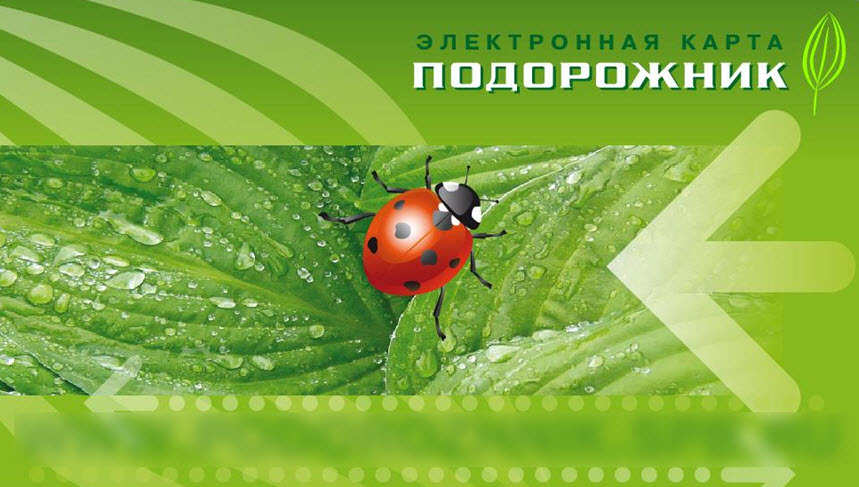 Пластиковая карта со стереоэффектом подорожник
