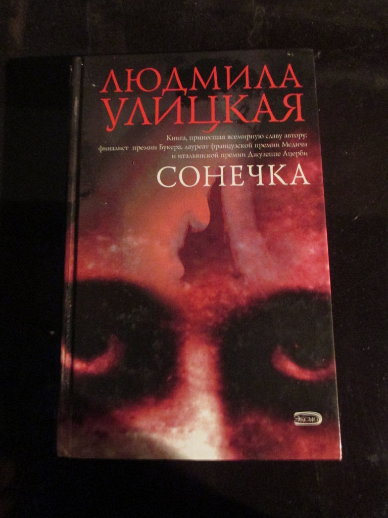 Презентация улицкая сонечка