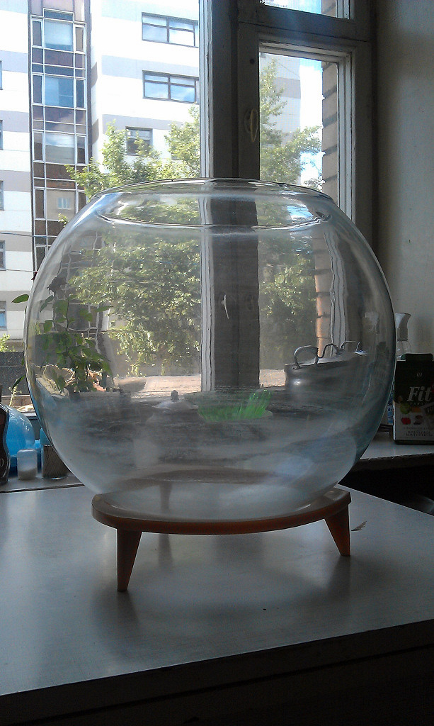 Аквариум полусфера. Аквариум шар. Flamingo nano set yamato 10 l. Аквариум biorb tube 35 mcr (35 л). Круглый аквариум в интерьере.