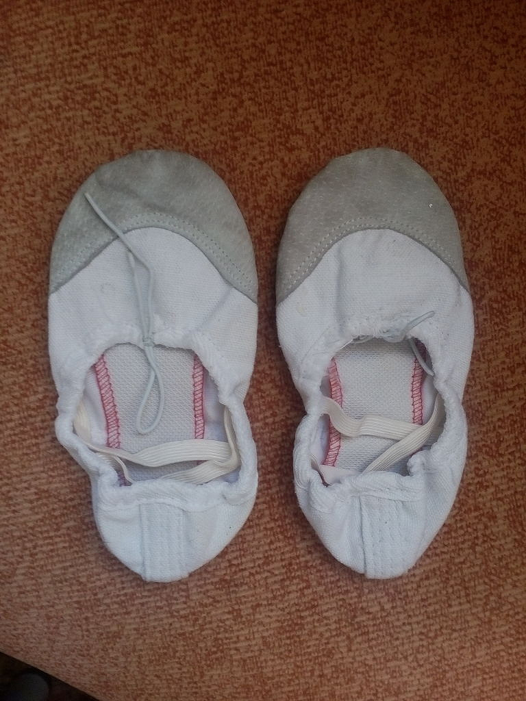 Тапочки для танцев. в дар (Одинцово). Дарудар