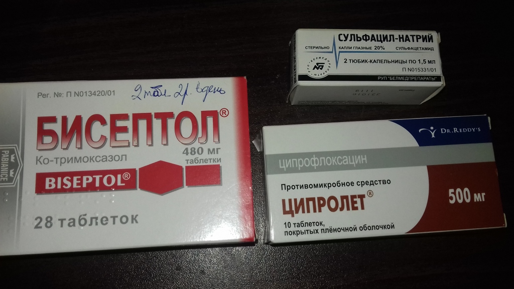 Бисептол 480 Цена