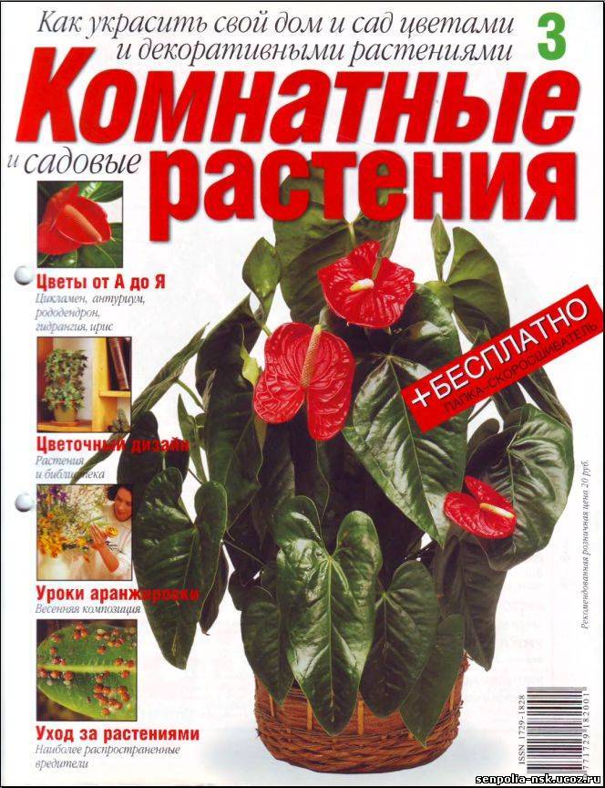 гоша решил прочитать журнал про растения. гоша решил прочитать журнал про растения. журналы по комнатному цветоводству. гоша решил прочитать журнал про растения. журнал цветы в доме.