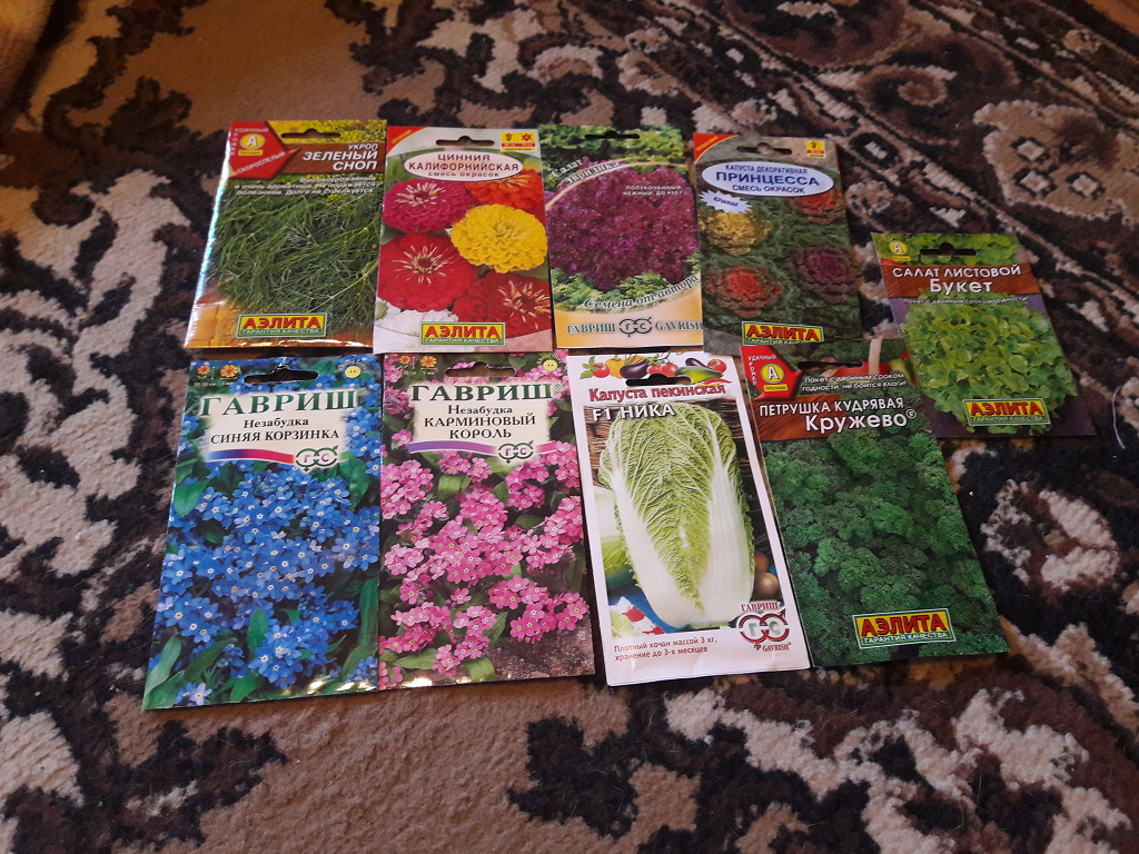 Семена в дар (Москва). Дарудар