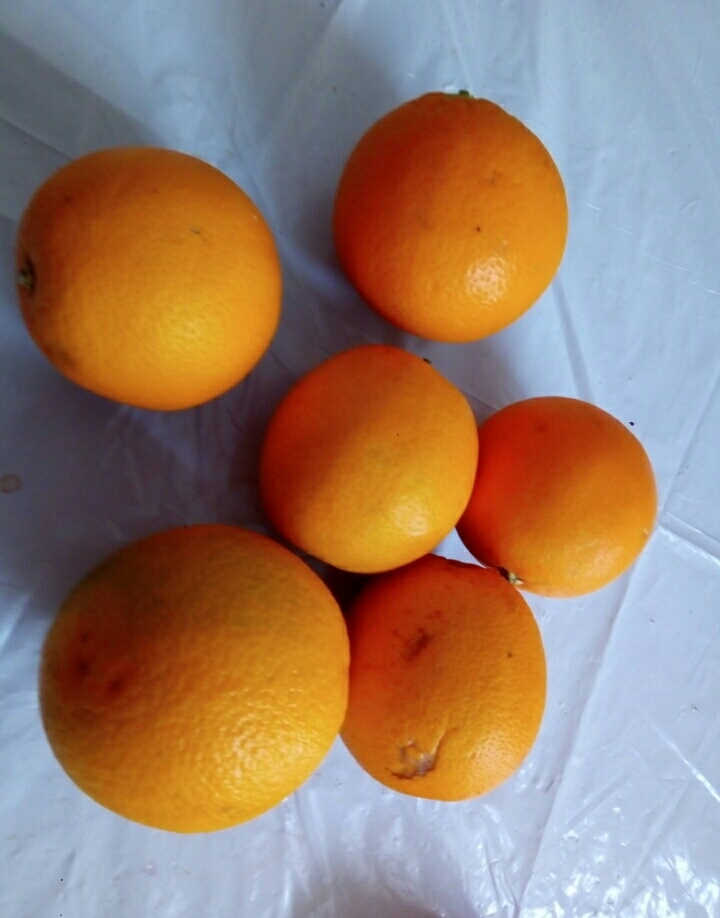 У толи есть конфеты 7 апельсиновых. Пять апельсинов. Шесть мандаринов. Шесть апельсинов. Семь апельсинов.