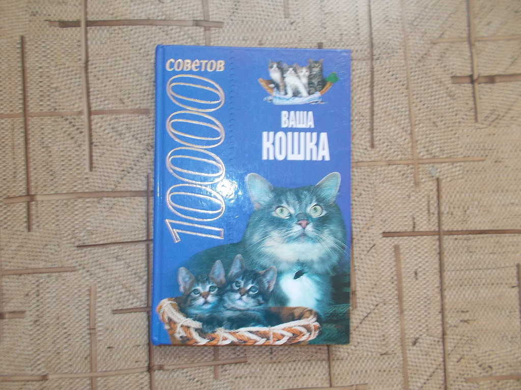 Отзывы про кошку. Детские книги про кошек. Художественная литература о кошках для детей. Книга про кошку Голди. Книга про кошку уна.