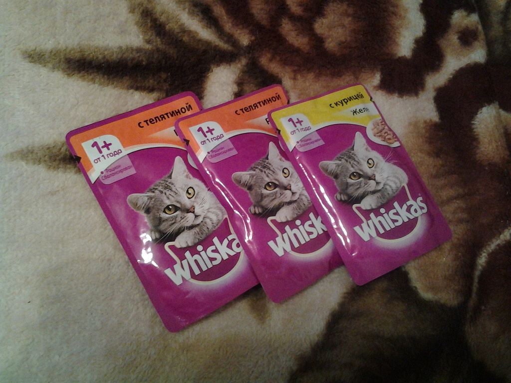 Включи вискас бессмертный. Whiskas влажный корм. Корм вискас в пакетиках. Корм для котят вискас в пакетиках. Whiskas пакетик.