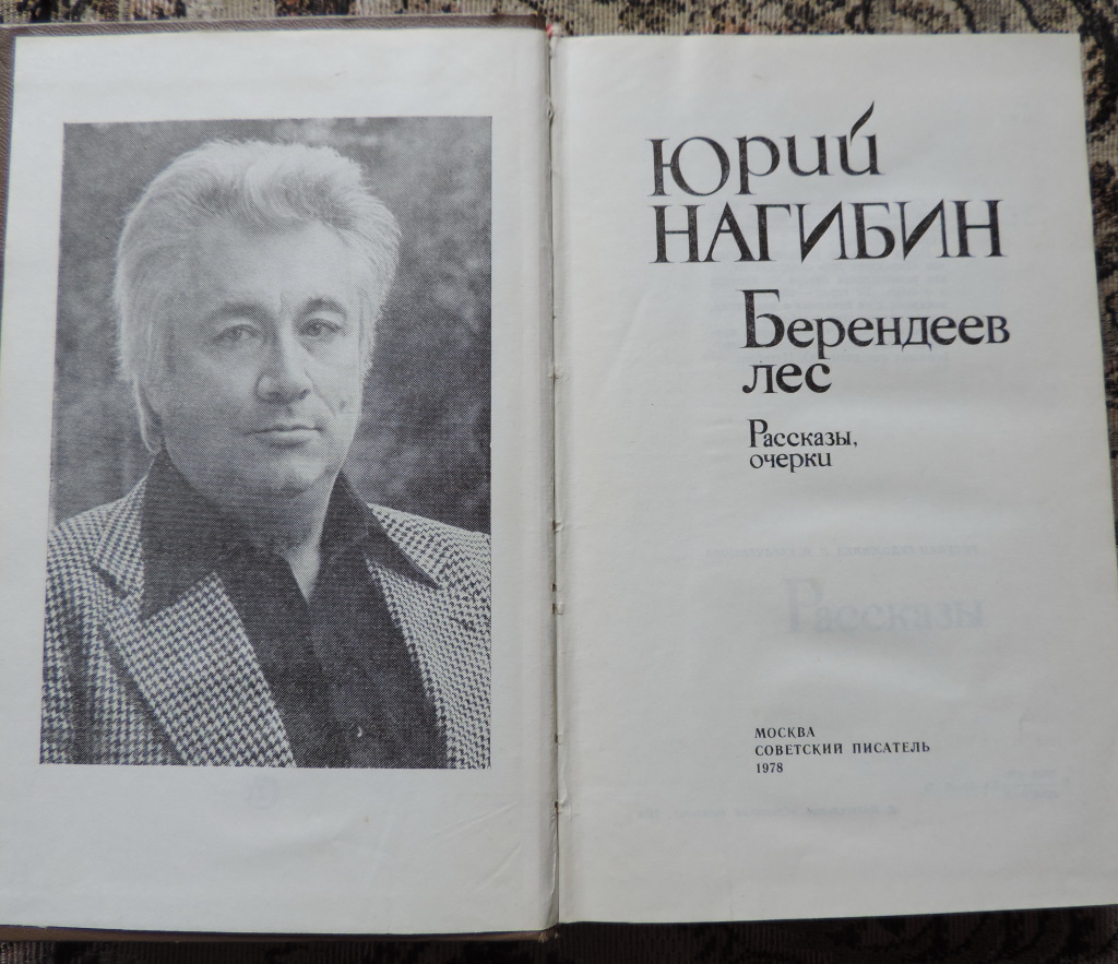 Ваганов нагибин план