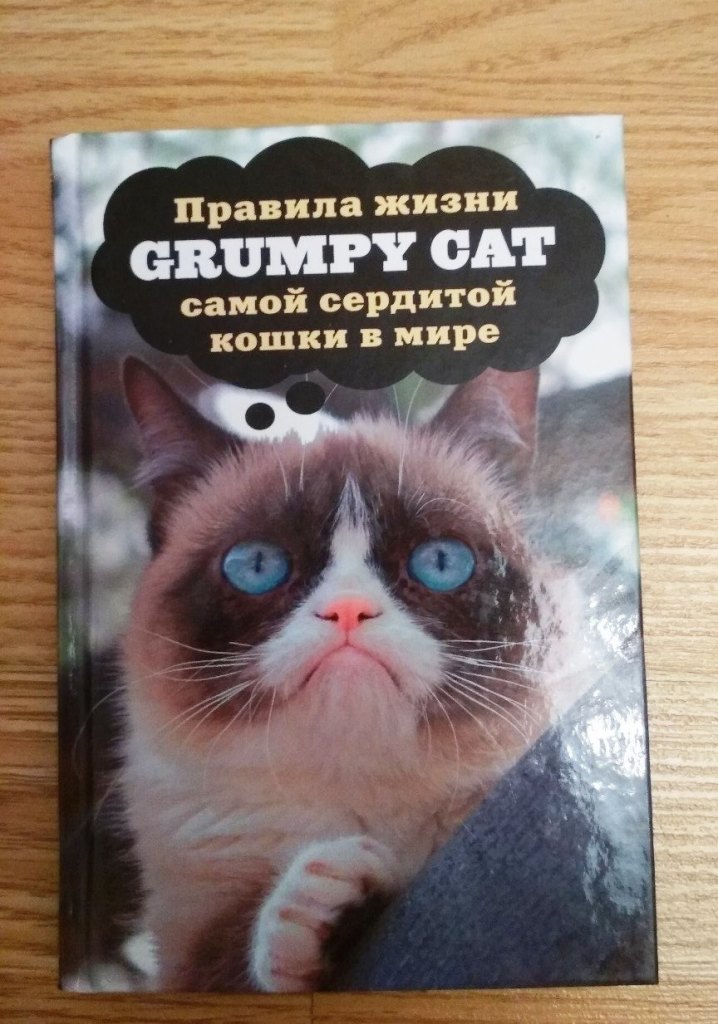 3 правила кошек. Сердитая кошка книга. Grumpy Cat книга. Grumpy Cat. Правила жизни.