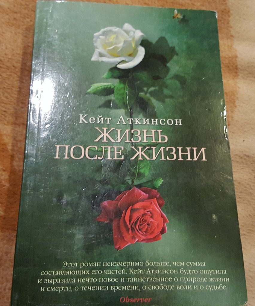 Жизнь после жизни книга