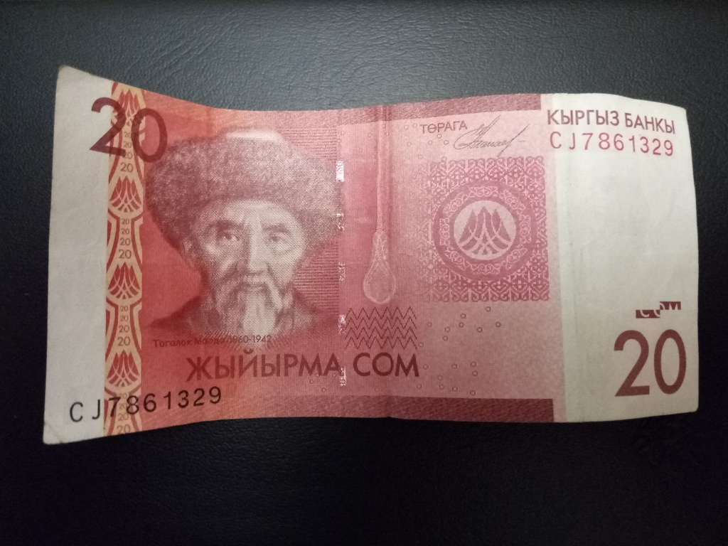 Киргизский сом к суму