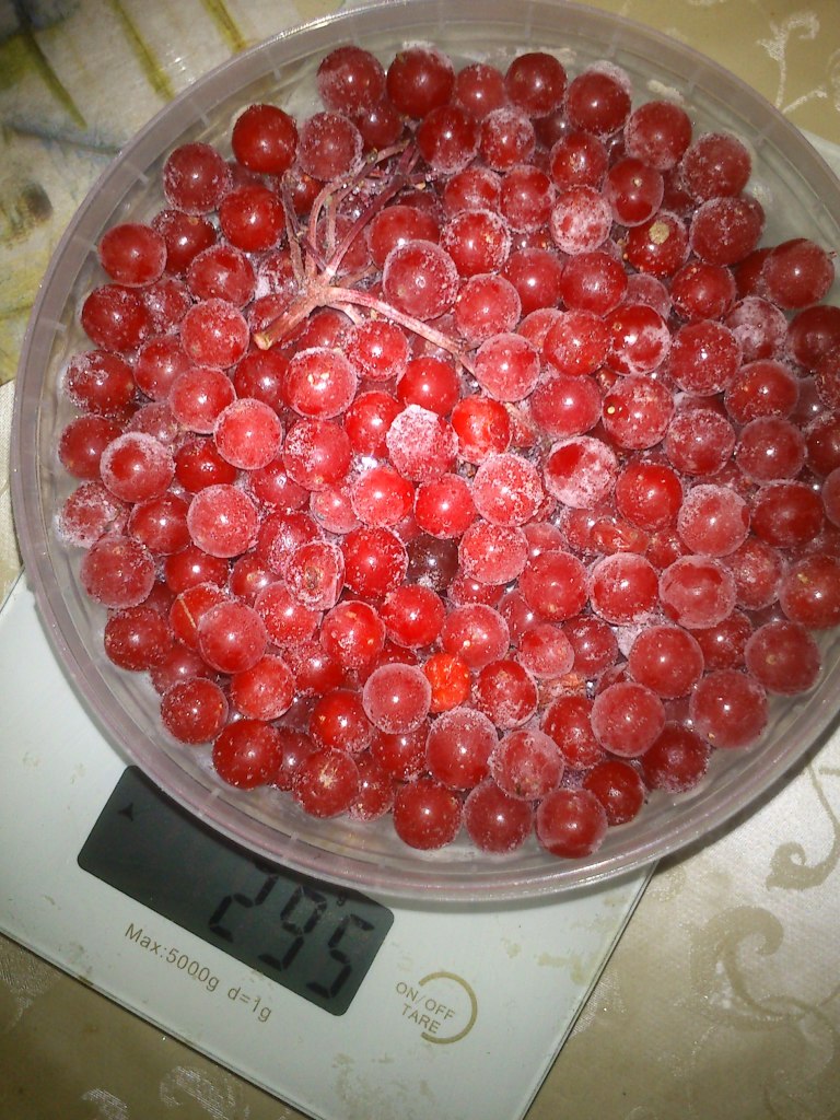 Как заморозить калину. Калина быстрозамороженная. Сухие ягоды калины. Калина замороженная. Калина заморозки.