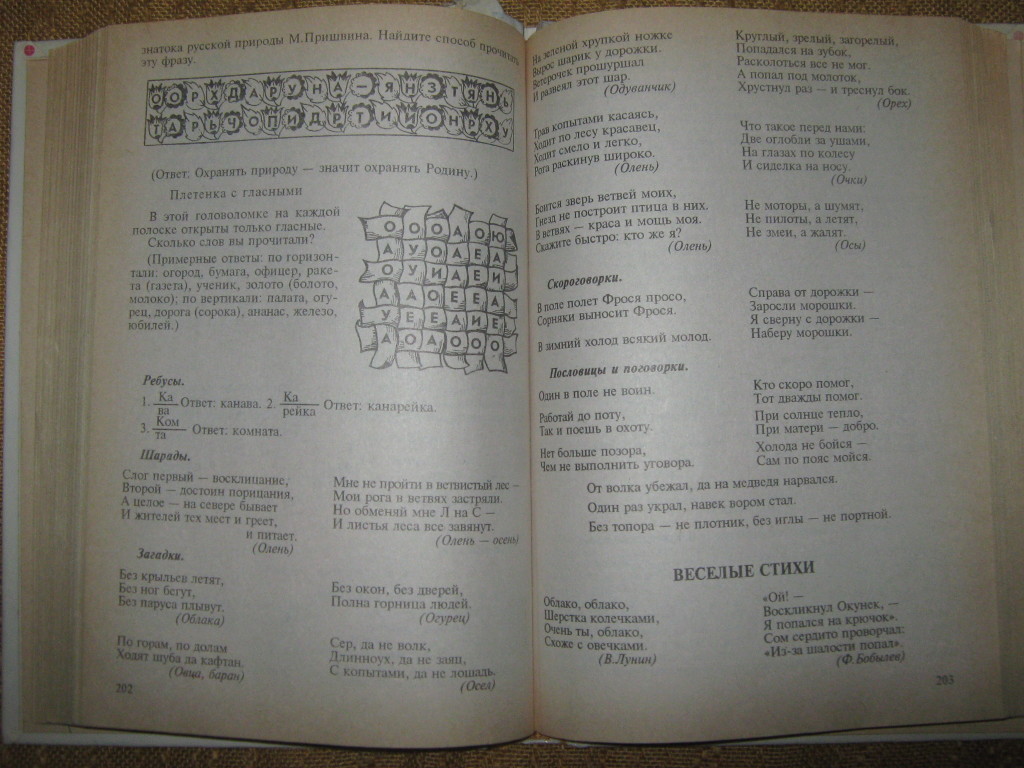 Праздник букваря, Валентина Волина в дар (Воронеж). Дарудар