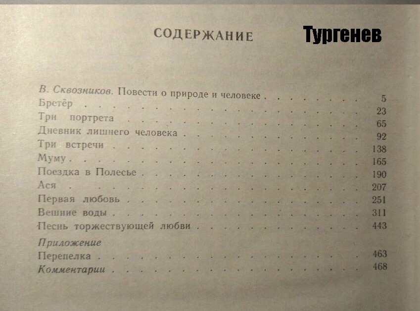 Тургенев муму содержание. Три портрета книга Тургенев. Тургенев Иван Сергеевич бретер. Тургенев три встречи сколько страниц.