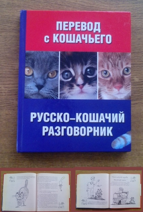 Переводи кошка. Русско кошачий разговорник. Разговорник для кошек. Кошачий язык разговорник. Русско кошачий словарь.